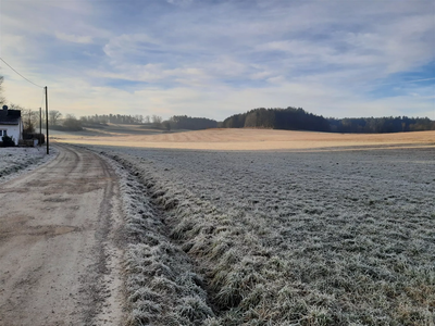 Am Fasanenweg entsteht ein Damm, um die Anlieger vor Überschwemmungen durch sogenanntes „Außengebietswasser“ zu schützen.