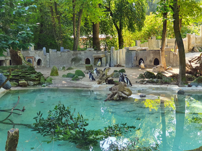 Ausflug zum Augsburger Zoo