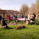 Heilpflanzenexkursion im InterKulturGarten