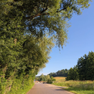 Baumpflegearbeiten am Weingarten und in Tegernbach