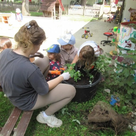 Die Kinder pflanzten eigenes Obst und Gemüse, um das Wachsen von Pflanzen zu beobachten und kennenzulernen, welche Bedingungen für ein gutes Wachsen notwendig sind.