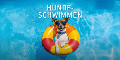 Pfaffenhofener Hundeschwimmen im Ilmbad