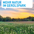 PAFundDU-Infostände im Gerolspark und am Wochenmarkt