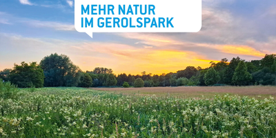 PAFundDU-Infostände im Gerolspark und am Wochenmarkt