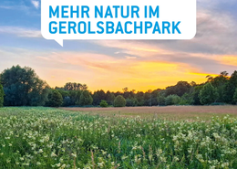 PAFundDU-Infostände im Gerolsbachpark und am Wochenmarkt
