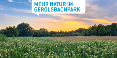 PAFundDU-Infostände im Gerolsbachpark und am Wochenmarkt
