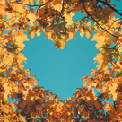 Herbstmomente vor der Haustür