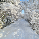 Einladung zur VdK Jahreshauptversammlung und  Weihnachtsfeier