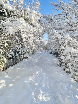 Einladung zur VdK Jahreshauptversammlung und  Weihnachtsfeier