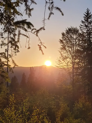 VORTRAG - Stressreduktion und Entspannung (Prävention) durch Bergwandern
