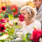 Pflegebedürftige Menschen können nun Unterstützung mit der Pflegeversicherung abrechnen. 