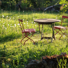 Projekte aus der Biodiversitätsstrategie