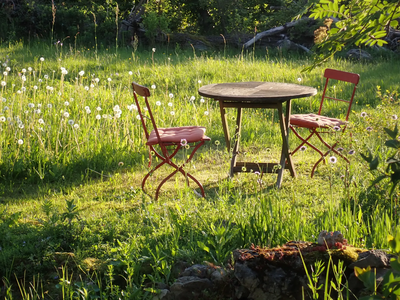 Projekte aus der Biodiversitätsstrategie
