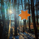 Los geht's am Stationenweg