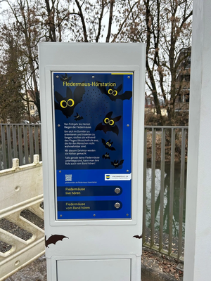 An der Fledermaus-Hörstation kann man Fledermäuse-Töne live oder vom Band hören.
