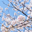 10 Gründe, den Landkreis Pfaffenhofen im Frühling zu entdecken