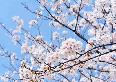 10 Gründe, den Landkreis Pfaffenhofen im Frühling zu entdecken