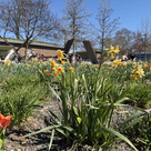 Blühender Bürgerpark