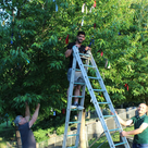 Sie haben den Baum der Religionen mit bunten Bändern geschmückt (von links): Shemsi und Hajdin Haziri sowie Ardian Ndreka. 