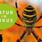 Natur im Fokus