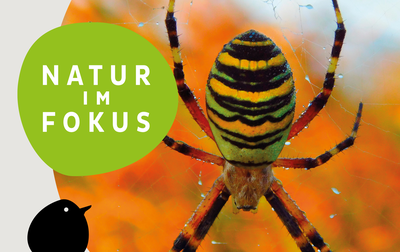 Natur im Fokus