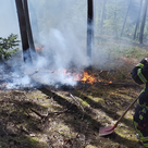 Erst kürzlich konnte die Feuerwehr Pfaffenhofen einen Waldbrand gerade noch rechtzeitig unter Kontrolle bringen.