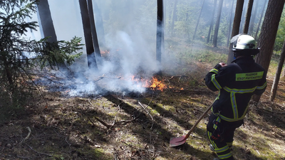 Erst kürzlich konnte die Feuerwehr Pfaffenhofen einen Waldbrand gerade noch rechtzeitig unter Kontrolle bringen.