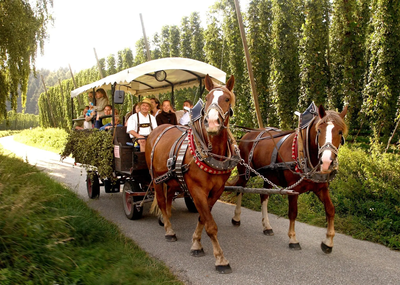 Die Regionen Pfaffenhofen und Freising entdecken