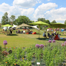 Der heutige Bürgerpark wurde zur Gartenschau 2017 neu angelegt. 