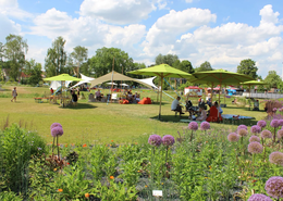 Der heutige Bürgerpark wurde zur Gartenschau 2017 neu angelegt. 