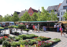 Kein Wochenmarkt am Samstag