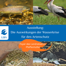 Die Folgen der Wasserkrise für den Artenschutz