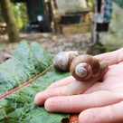 Familienzeit im Grünen: Wildniss entdecken, Klimaschutzheld werden