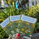 Neue Wildblumenmischung ist ab sofort kostenlos erhältlich.