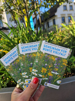 Neue Wildblumenmischung ist ab sofort kostenlos erhältlich.