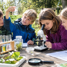NaturFreundchen-Forschertag für Kinder