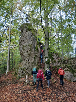 Herbsttour mit Hindernissen: DAV-Familiengruppe unterwegs am Eibengrat in Franken
