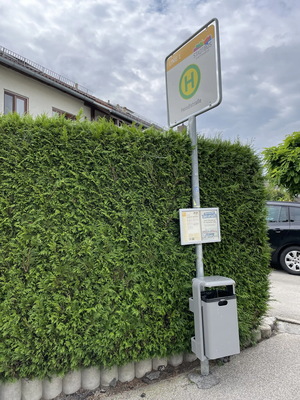 Stadtbuslinie 1 wegen Vollsperrung umgeleitet