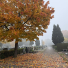 Ein farbenfrohes Bild: Herbst auf dem Friedhof Altenstadt
