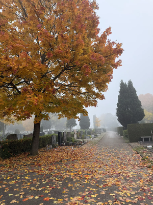 Ein farbenfrohes Bild: Herbst auf dem Friedhof Altenstadt