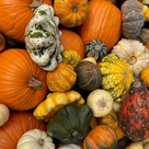 Herbstferien in Pfaffenhofen