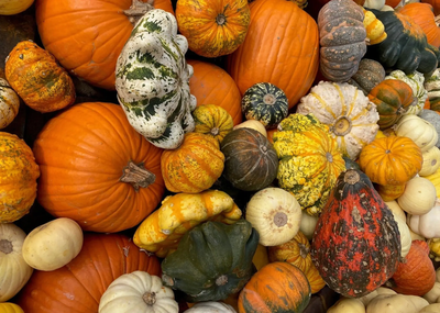 Herbstferien in Pfaffenhofen