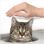 <b>Tier-Patenschaft – legen Sie eine schützende Hand über ein Tier Ihrer Wahl</b> (Foto: Tierschutzverein Pfaffenhofen)