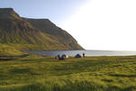 Nur einen von vielen Traumlagerplätzen, die Peter Schuster und sein Freund Peppi Adametz in Island fanden.