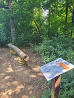 Foto Federwippbalken im Wald