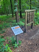 Tic Tac Toe auf Holklözen im Wald
