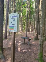 Station 16 mit Übungsbank für Sit-ups