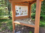 Foto der Station Komm mit auf Spurensuche auf dem Naturlehrpfad mit Sandschaufeln