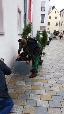 Stadtbegrünung am Platzl