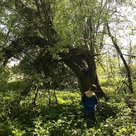 Start NaturSinn - ab in die Wildnis 2020 (4-7 Jährige)